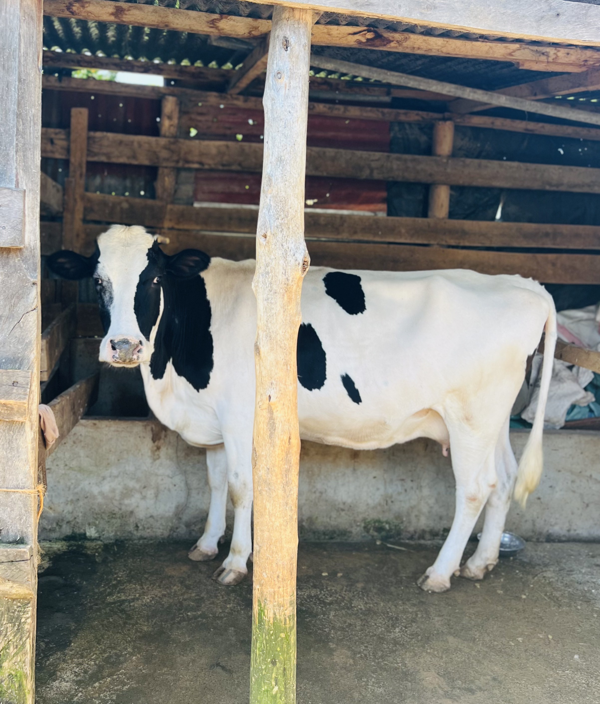 School farm